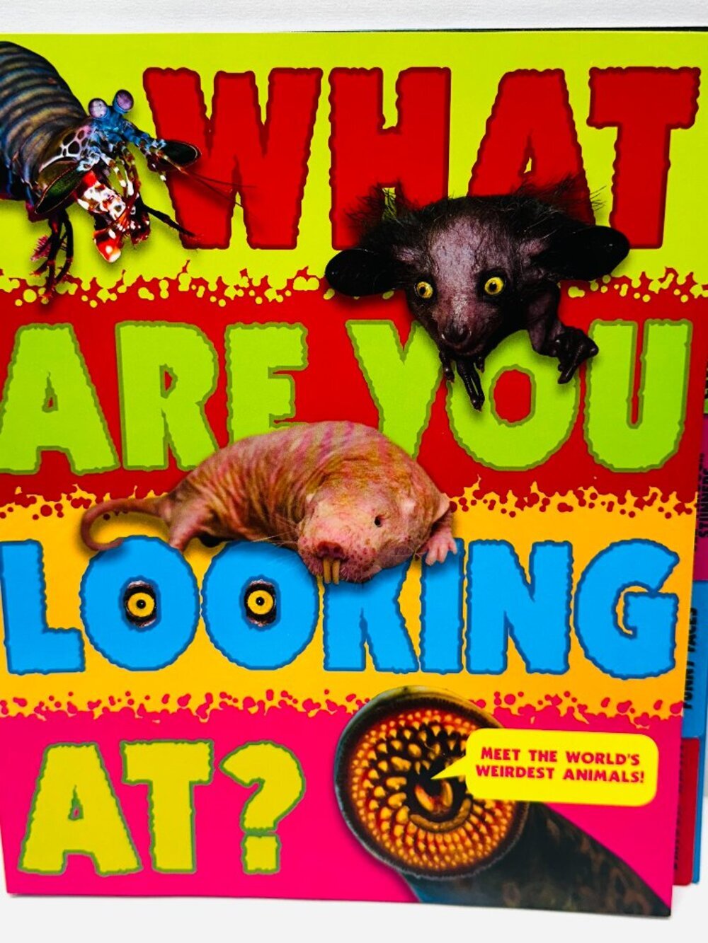 What Are You Looking At? Meet the World's Weirdest Animals! Excellent